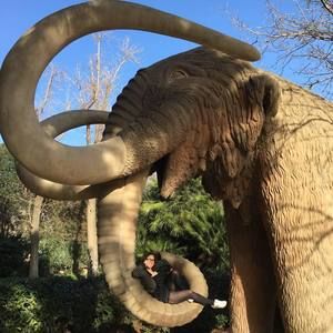 Meet your Posher, Maddy